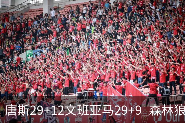 唐斯29+12文班亚马29+9 森林狼客场轻取马刺